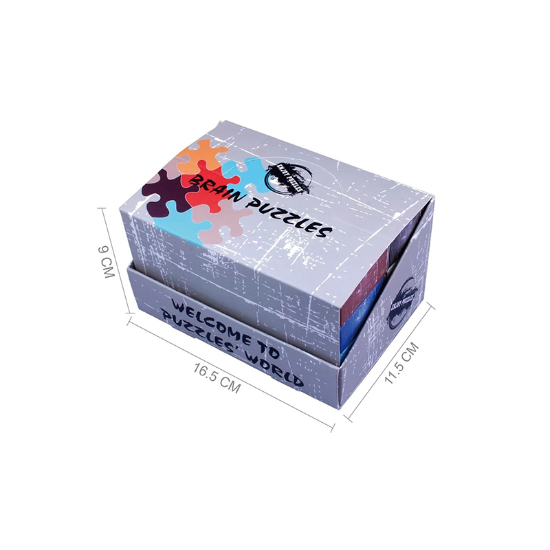 Rail Glide Metallic Cognitie Challenger-puzzel