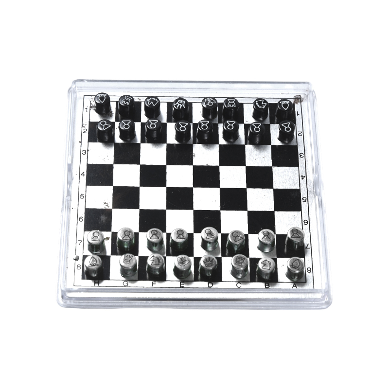 Magnetisch metalen internationaal schaakspel in helder acryl etui