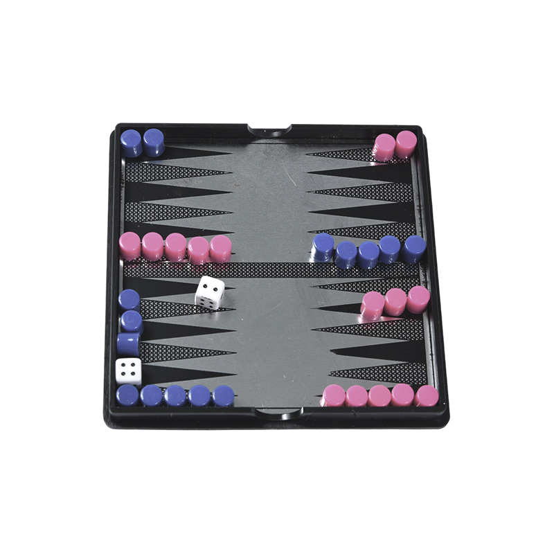Compacte magnetische backgammon-set met acrylkoffer